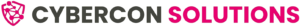 DM Serif Display